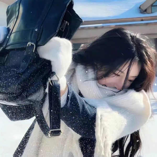 神鹰之拳